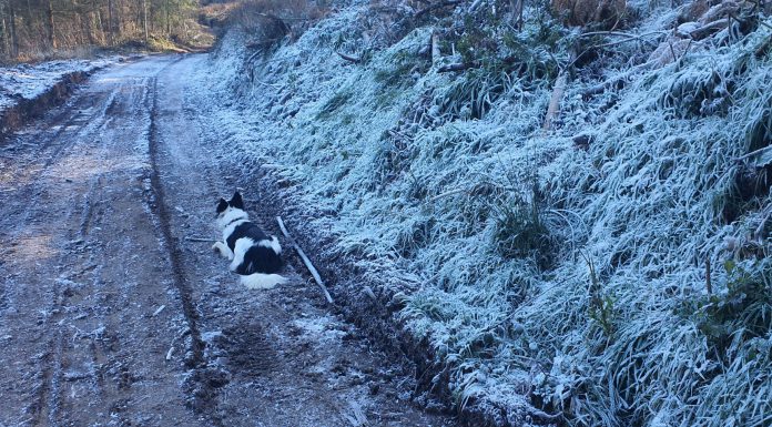Temperaturas mínimas y heladas en el interior de Bizkaia