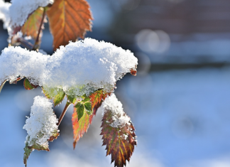 Bizkaia activa avisos amarillos por nieve y lluvias persistentes