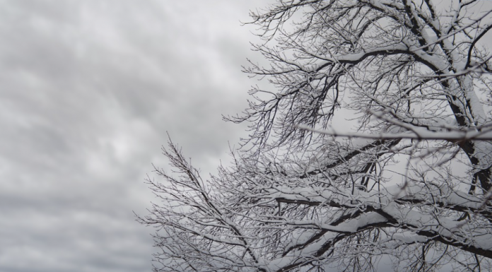 Alerta amarilla por nieve en el interior de Bizkaia