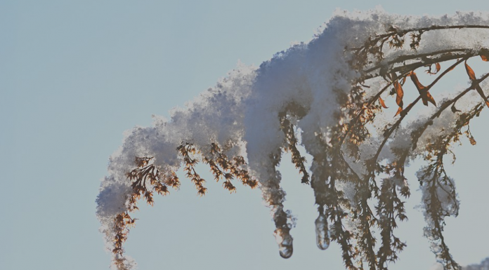 Avisos amarillos por nieve y olas para hoy