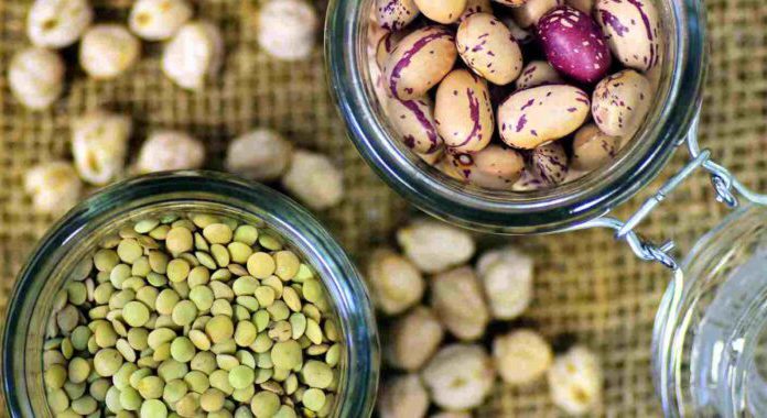 Día Mundial de las Legumbres, un alimento lleno de beneficios. Información suministrada por Conservas Serrats