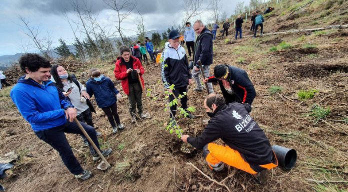 La Diputación Foral continúa la transformación de los montes del territorio plantando 72 nuevas hectáreas de bosque autóctono