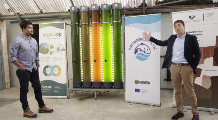Euskadi comienza a producir microalgas con fines comerciales