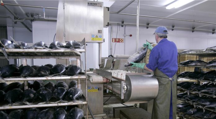 Conservas Serrats inventa un método para reciclar la salmuera