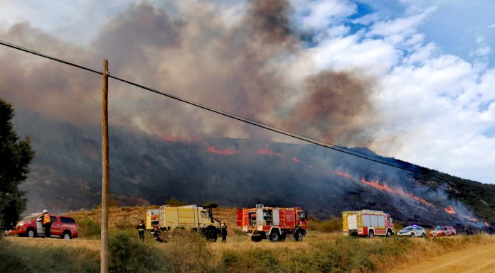 Activado en Bizkaia el aviso amarillo por riesgo de incendios forestales