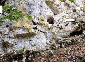 Así es el «zulo» de ETA hallado por la Ertzaintza en Oñati