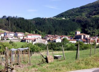 Muere un trabajador forestal en Aulesti