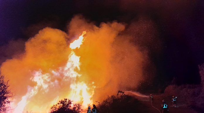 El Gobierno Vasco establece nuevas prohibiciones para evitar incendios