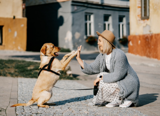 Descubren que uno de los perros domésticos más antiguos de Europa habitó en Euskadi