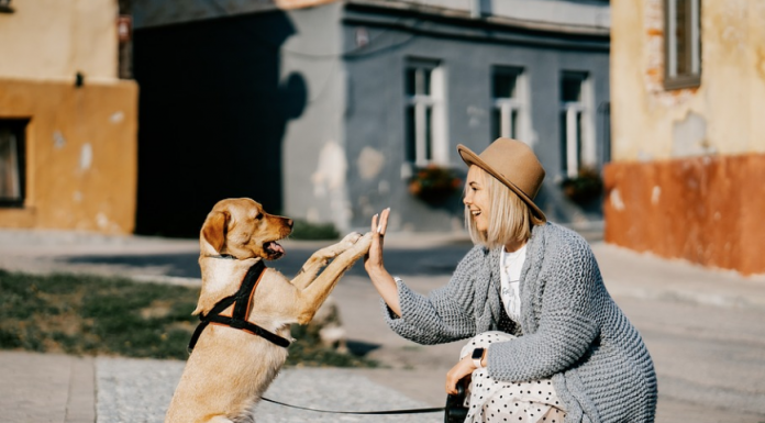 Descubren que uno de los perros domésticos más antiguos de Europa habitó en Euskadi