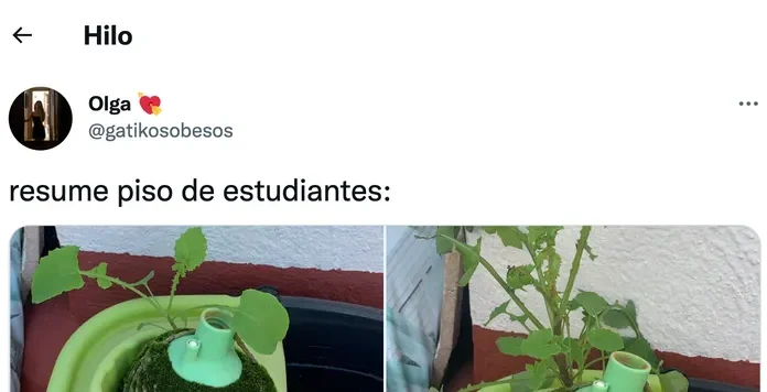 Increíble, visto en un piso de estudiantes