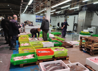 Mercabilbao, la gran ciudad de la alimentación, se prepara para la Navidad