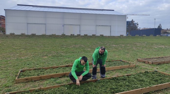 La Diputación de Bizkaia y Apnabi activan un innovador centro de día en Derio que ofrece apoyos sociales y ocupacionales a personas con autismo