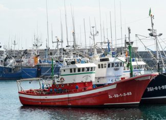 Bruselas propone prohibir la pesca de jurel y reducir la del lenguado, la cigala del Cantábrico y el abadejo