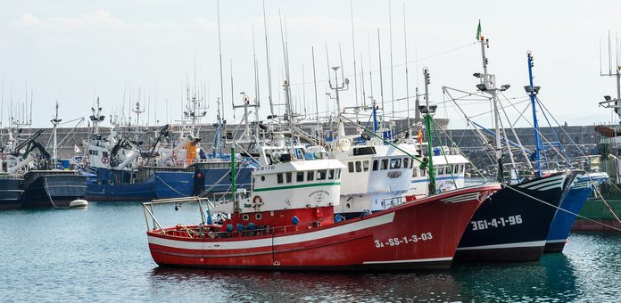Bruselas propone prohibir la pesca de jurel y reducir la del lenguado, la cigala del Cantábrico y el abadejo