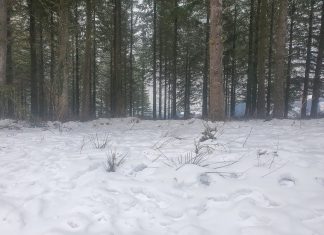 La cota de nieve bajará mañana hasta los 400 metros