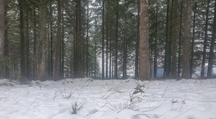 La cota de nieve bajará mañana hasta los 400 metros