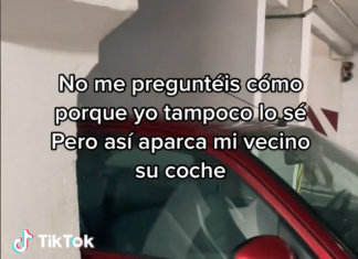 Aparcar así «tiene que ser algún tipo de arte»
