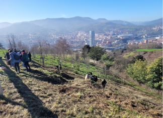 Bilbao gana en un año más de 20.000 metros cuadrados de jardines y zonas verdes y 1.490 nuevos árboles