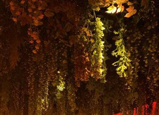 El restaurante Burro Canaglia de Bilbao retira la decoración para evitar riesgos
