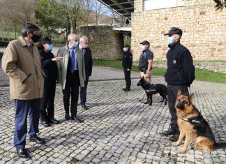 La Ertzaintza recupera en Amurrio el botín de un robo gracias a una pastor alemán de la Unidad Canina
