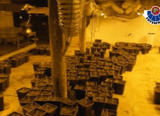 Ingresan en prisión los tres detenidos en una operación antidroga realizada entre Barakaldo y Hernialde