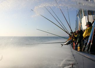 La costera de 2023, una de las más sobresalientes de los últimos años según Conservas Serrats