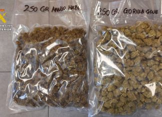 Investigadas 11 personas en Bizkaia por enviar cogollos de marihuana a través de paquetería