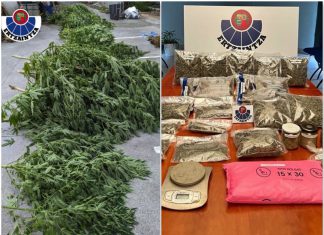 Investigado el responsable de una plantación de marihuana hallada en Laudio
