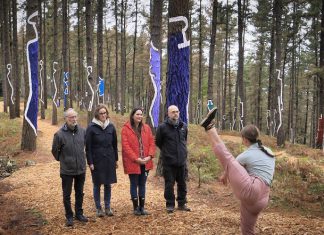 Bizkaia culmina la migración de El Bosque de Oma y abre la obra de Agustín Ibarrola al público