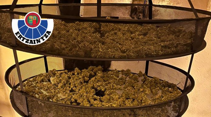 Operación contra el tráfico de drogas en Trapagarán