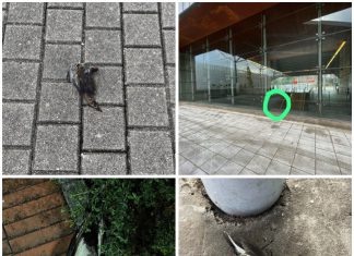 Eguzki solicita una solución para evitar que las aves sigan muriendo por colisión en el BEC