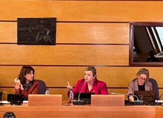 Bizkaia ha registrado más de 52.000 ataques a la libertad y derechos de las mujeres en dos décadas