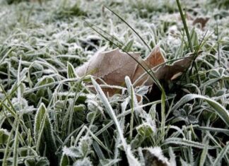 Aviso amarillo por temperaturas mínimas y heladas en Gipuzkoa