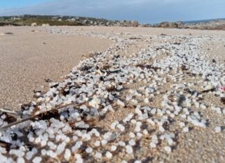 Euskadi prepara mecanismos de acción ante la posible aproximación de pellets a nuestra costa