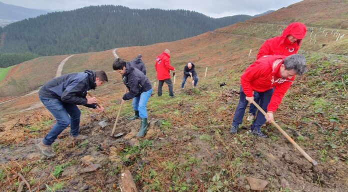 El bosque incendiado en Zalla se reforestará con más de 8.600 árboles y la participación de 100 personas voluntarias