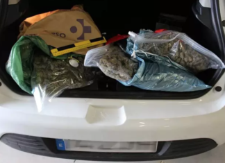 Intervenidos 3 kilos de marihuana en un control rutinario en el peaje de Zarautz