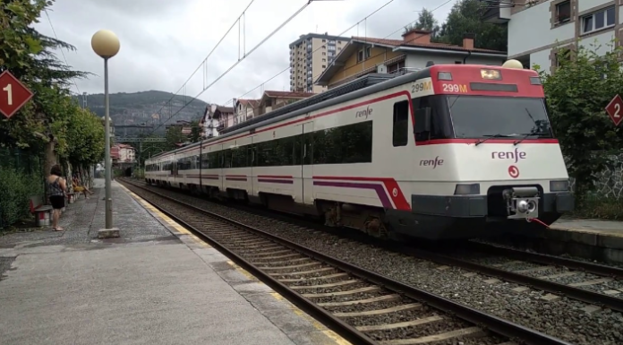 Reanudado el servicio ferroviario entre Andoain y Hernani tras permanecer interrumpido por la caída de un árbol