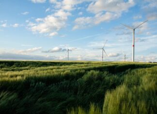 BasqueTradek energia sektorearen Australiako aukerak aurkeztuko ditu