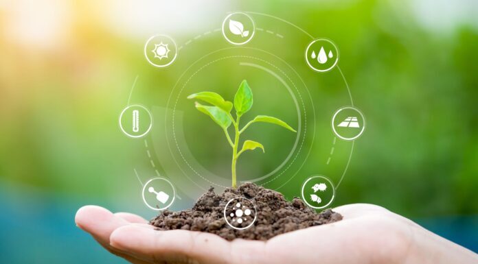 Industriak AGROFOODTech azeleragailuaren edizio berri bat jarri du abian nekazaritzako elikagaien sektoreko enpresa-proiektuetarako