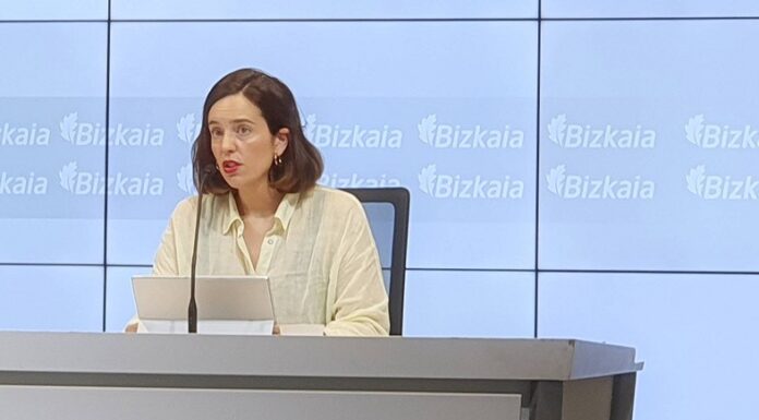 Bizkaia regularizó 429,8 millones de euros en 2023 en más de medio millón de actuaciones contra el fraude fiscal