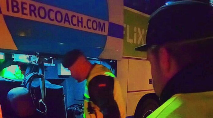 La Guardia Civil requisa en Irun 21 garrafas de aceite sin etiquetar y sin factura