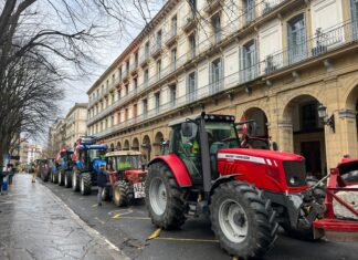 Los agricultores vascos reclaman «priorizar el sector primario» con una tractorada en Vitoria-Gasteiz
