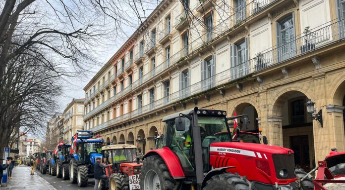 Los agricultores vascos reclaman «priorizar el sector primario» con una tractorada en Vitoria-Gasteiz