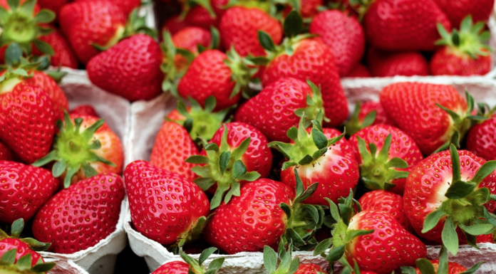 Segunda alerta por la presencia de Hepatitis A en fresas procedentes de Marruecos