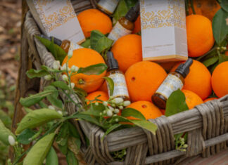 ALOECEUTICALS: “Zaintzarik naturalena”