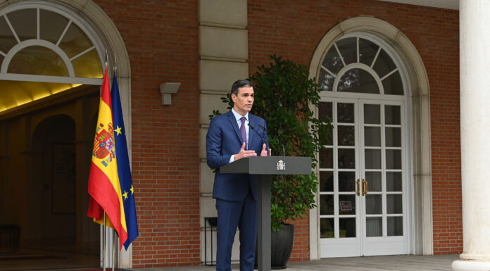 Pedro Sánchez afirma que el PSE-EE apuesta por reeditar el gobierno de coalición con el PNV