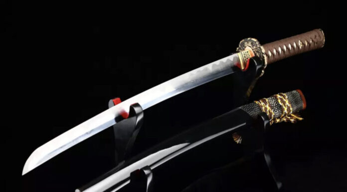 El legado de las espadas Wakizashi, una guía completa
