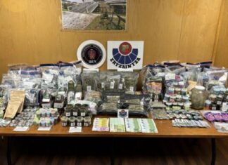 Cuatro personas investigadas en Irun, en un operativo antidroga en tres establecimientos dedicados a la venta de productos derivados del cannabis