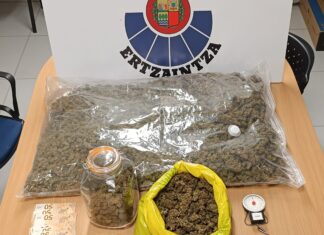 Cinco personas detenidas y una plantación de marihuana desmantelada en Maruri durante un operativo antidroga